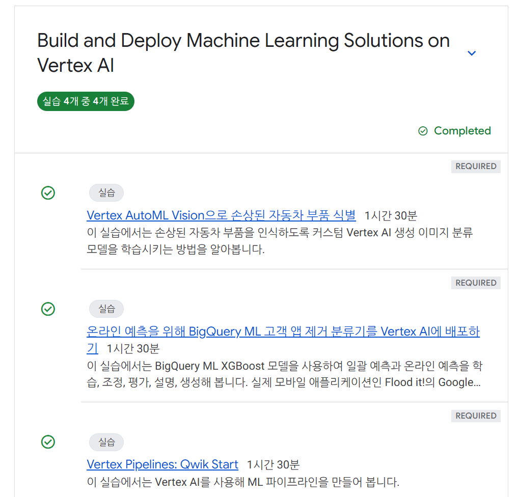 학습과정 (동영상, 문서, 실습, 퀴즈로 나눠짐)